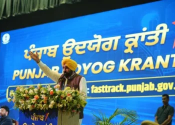 उद्योग जगत पंजाब को भारत की अगली औद्योगिक शक्ति बनाएं - मान