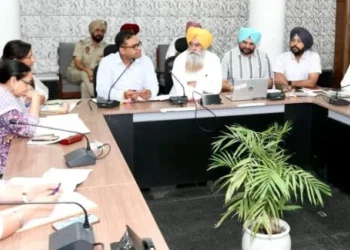 खरीफ सीजन की समीक्षा: पंजाब में नरमे की खेती में उल्लेखनीय वृद्धि