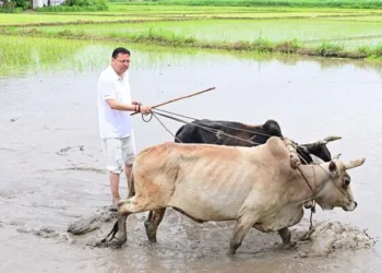 मुख्यमंत्री ने नगरा तराई में धान लगाकर किसानों का किया सम्मान