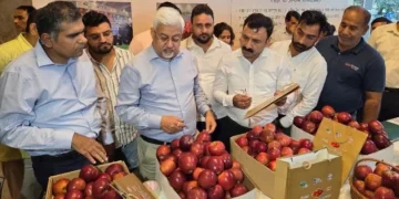 अंतरराष्ट्रीय बाजार की ओर बढ़ा उत्तराखंड, दुबई भेजा गया गढ़वाली सेब