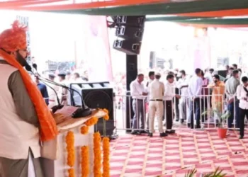 गौशालाओं में लगेंगे सौर ऊर्जा संयंत्र