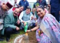 सीएम धामी बोले – हर पेड़ माँ को समर्पित हो
