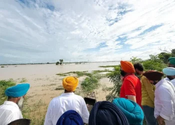 प्राकृतिक आपदा में इंसान और पशुओं की सुरक्षा पर फोकस