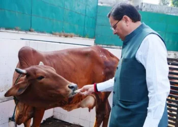 उत्तराखंड के सीएम धामी ने गौमाता की पूजा कर जनकल्याण की प्रार्थना की