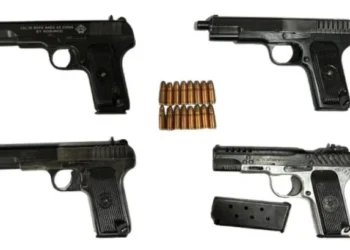 डीजीपी गौरव यादव ने बताया—तस्करी नेटवर्क से चार पिस्तौल और कारतूस जब्त