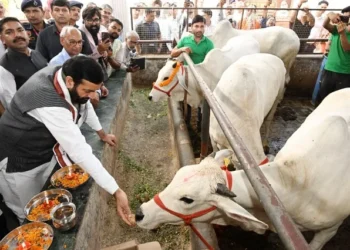 मुख्यमंत्री ने श्री कृष्ण गौशाला, करनाल को दिए 21 लाख रुपये