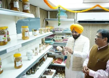 हस्तशिल्प और जैविक उत्पादों को मिलेगा मंच, शुरू हुआ ‘पहिल मार्ट’