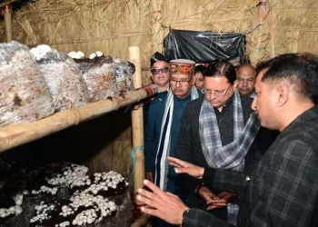 कम भूमि और कम जल में अधिक लाभ का माध्यम है मशरूम उत्पादन धामी
