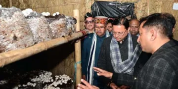 कम भूमि और कम जल में अधिक लाभ का माध्यम है मशरूम उत्पादन धामी