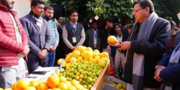 माल्टा-नींबू प्रदर्शनी का सीएम धामी ने किया अवलोकन