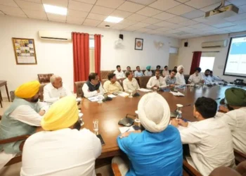 उच्चस्तरीय बैठक में सीएम मान ने बाढ़ सुरक्षा प्रबंधों की समीक्षा की