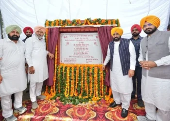सीएम मान ने गांवों में जमींदोज बिजली तार परियोजना की शुरुआत की