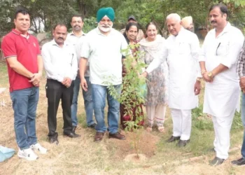 ‘मिशन हरियाली 2026’ के तहत राज्यभर में बड़े स्तर पर पौधारोपण की शुरुआत